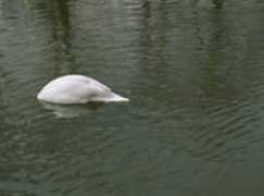 artthrob.co.za Jandrell