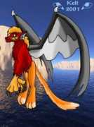 alai-tallon.com Jangiz