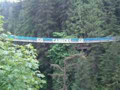 liveblogs.globaltvbc.com Janower
