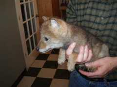 sciencebuzz.org Jarche