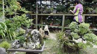 diariovasco.com Jardineria