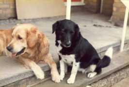 stat.washington.edu Jasbel