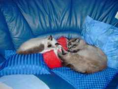 kirsten-grossmann.de Jasbel