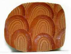 biotechnics.org Jasonlim