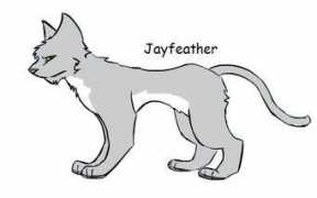 Jayfeather