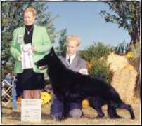 elitek9academy.com Jeanneane