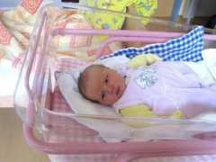 jindrichohradecky.denik.cz Jedlinska