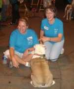 woodfordhumanesociety.org Jennella