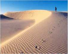 Jericoacoara
