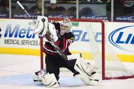 ingoalmag.com Jerina