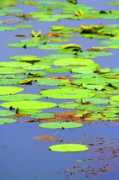 Jhelum