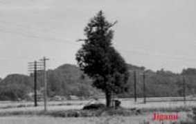 .kokugakuin.ac.jp Jigami