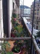 infohostal.com Joakina