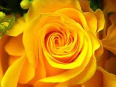 fbhchurch.org Johnella