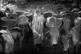 londonphotography.org.uk Johnkenny