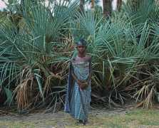 telegraph.co.uk Johnkenny