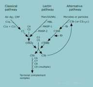 hi.helsinki.fi Jokiranta