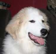 personal.inet.fi Jolkin