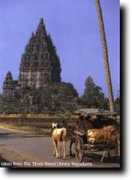 joglosemar.co.id Jongrang