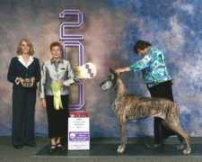 danesoflarchwood.com Jorivan