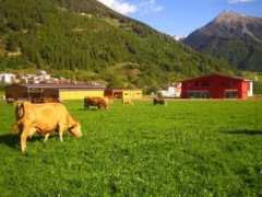 alternatives-wandern.ch Josom