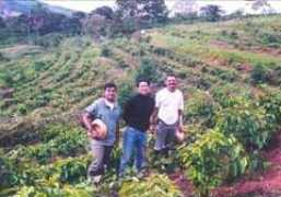 windfarm.co.jp Jubens