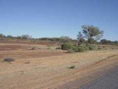 panoramio.com Jundah