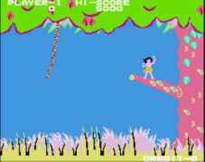 .coralnet.or.jp Jungleking