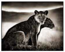 junebateman.com Jurson