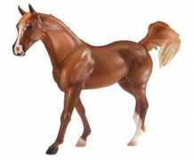 ranch-mustang.blog.cz Justdream