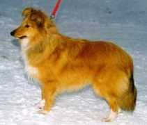 home.online.no Justdream