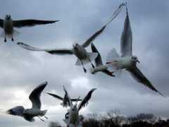 bank-zdjec.com Justiana