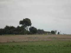 foto.delfi.lt Kadras