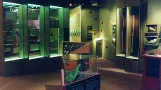 tairawhitimuseum.org.nz Kahurangi