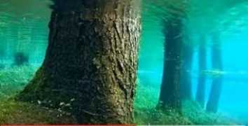 digitaljournal.com Kaindy