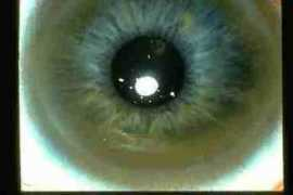 nalac1983.ingyenweb.hu Kaisher