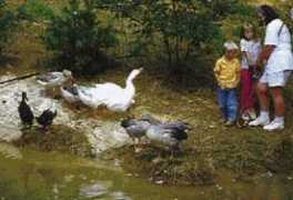 savillehillfarm.com Kaitlen