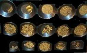 world.lib.ru Kakharov