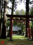 Kakumi