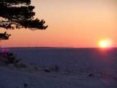 pilt.delfi.ee Kaldal