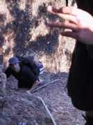 gerkinpress.com Kalianna