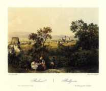 kohoutikriz.org Kaliny