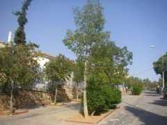 spottedbylocals.com Kalogeropoulou