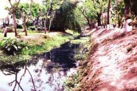 sos-arsenic.net Kalondi