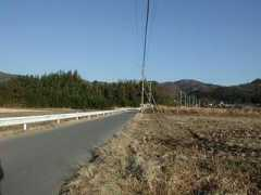 Kangori