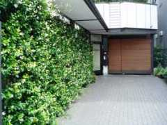 kansaku-dental.net Kansaku