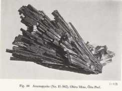 um.u-tokyo.ac.jp Kapsan