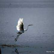 fotoblur.com Karabinas