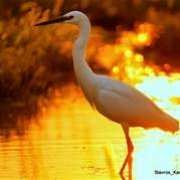 fotoblur.com Karabinas