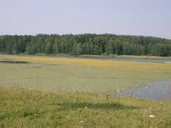 panoramio.com Karakan